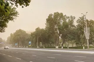 В выходные ожидается туман и температура до 0° ночью