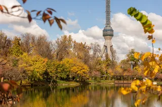 Куда пойти на выходных в Ташкенте, 8 и 9 ноября