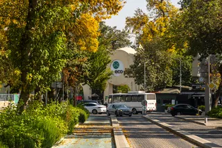 Hafta davomida issiq va tumanli ob-havo boʻlishi kutilmoqda