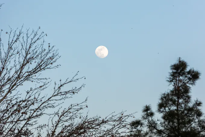 Рабочая неделя в столице пройдет в дымке и при теплой погоде