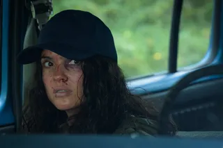 Сезон охоты