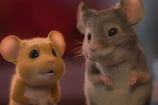 Мышиный переполох