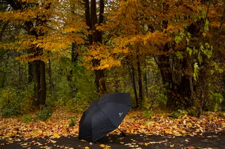 Qish yaqin: bu hafta yaxshigina sovuq tushadi