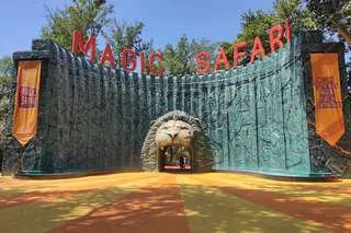 Новогодние шоу в Magic Safari