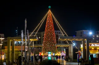 В новогоднюю неделю в столице ожидается до +18° и снегопад