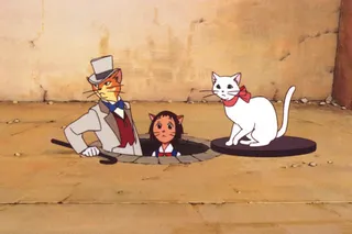 Возвращение кота