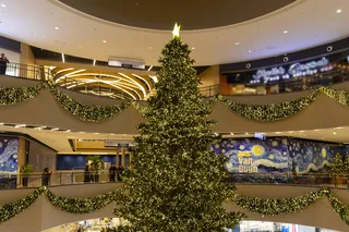 Куда пойти на выходных в Ташкенте, 20 и 21 декабря