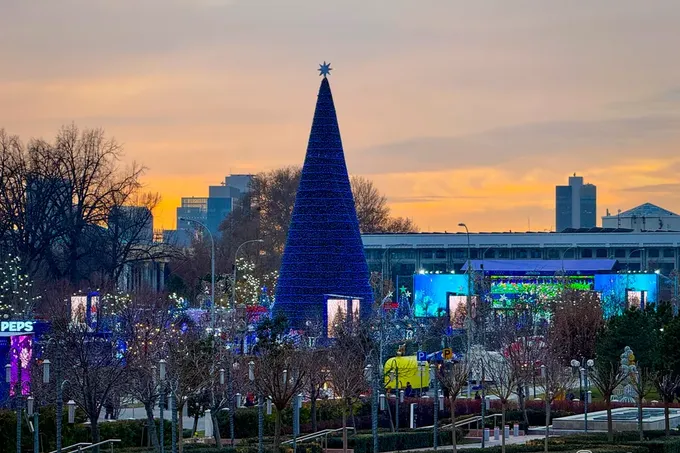 Президентская елка