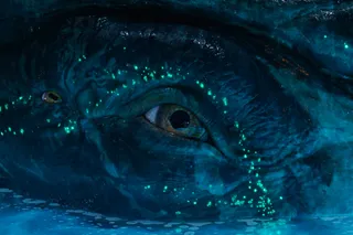 Аватар: Пламя и пепел