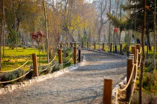 Куда пойти на выходных в Ташкенте, 6, 7 и 8 декабря