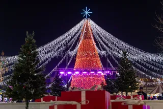 Yangi yil archasi ochilishi va gala-konsert