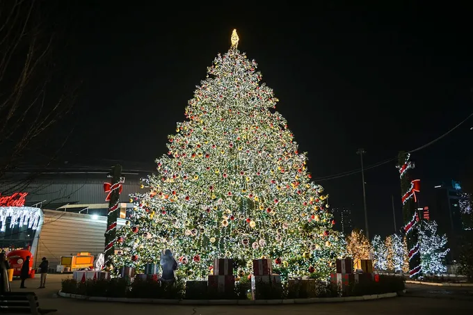 Объявлены локации главной елки в Узбекистане и новогодних мероприятий в Ташкенте