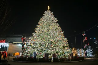 Объявлены локации главной елки в Узбекистане и новогодних мероприятий в Ташкенте