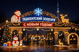 Ташкентский зоопарк напомнил, что работает без выходных — в том числе 1 января