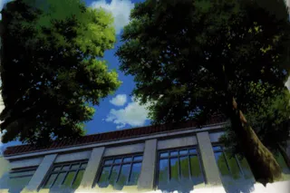 Возвращение кота