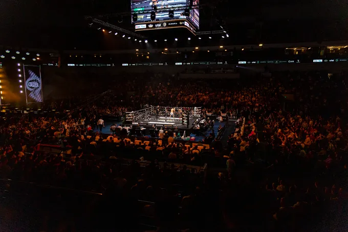 Professional boks kechasi