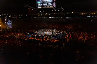 Professional boks kechasi