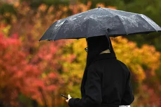 Dam olish kunlari qanday ob-havo kutilmoqda?