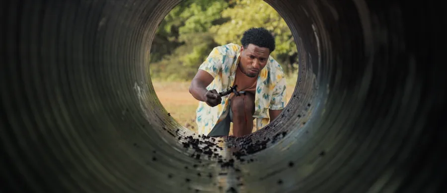 Пункт назначения: Новый аттракцион