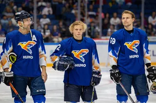 Матчи хоккейного клуба «Хумо»