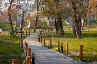 Fotosayr: Toshkentdagi yangi Astronomiya bogʻi