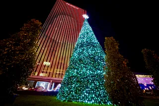 В предпраздничную неделю в столице ожидаются туманы и до +8°