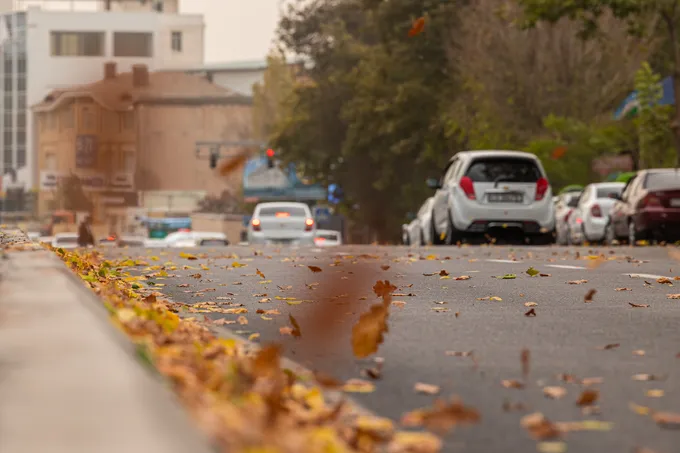Зима начинается мягко: в Ташкенте до +15° днем и туман по ночам