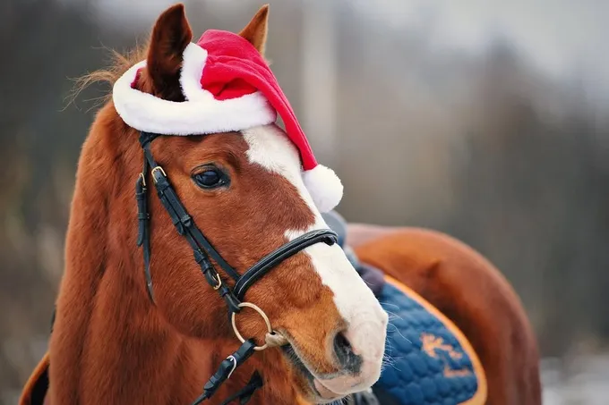 Экскурсия в Argamak Sher 