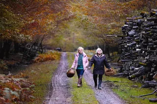 Что случилось осенью