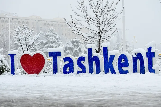 Когда падает снег: редкая зимняя магия Ташкента — фото