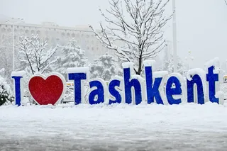 Когда падает снег: редкая зимняя магия Ташкента — фото