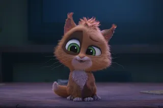 Чарли Чудо-пёс