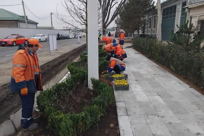 В Мирзо-Улугбекском районе временно ограничили движение транспорта
