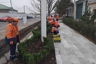 В Мирзо-Улугбекском районе временно ограничили движение транспорта