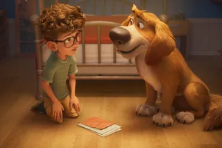 Чарли Чудо-пёс