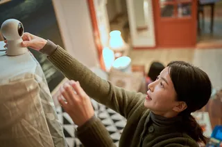 Домашняя камера