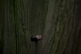 Молчаливый друг