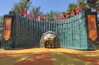 “Magic Safari” tematik bog‘i yangi mavsumni ochdi