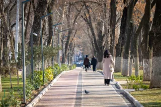 Неделя начнется с ливней и завершится летним теплом с +24°