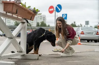 Уволить Жору