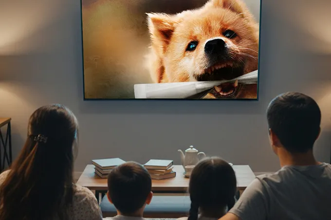 Oilaviy tomosha qilish uchun filmlar: oqshomni qanday qilib birga o‘tkazish mumkin?