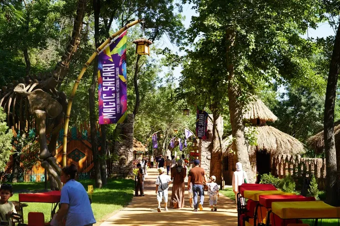 Шоу-программа в Magic Safari