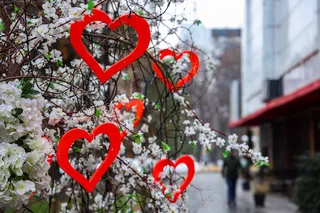 Потеплеет до +21°: впереди теплые и романтичные выходные