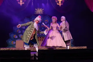 Мещанин во дворянстве