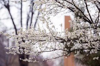 Весна начнется с похолодания до +1° ночью
