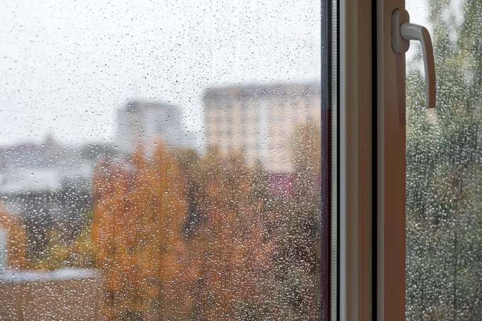 Неделя теплых дождей ожидается в столице