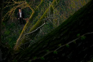 Молчаливый друг