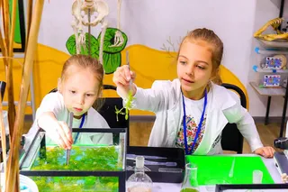 Научная программа «Подводный мир»