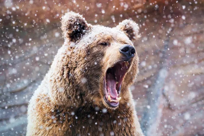 Ташкентский зоопарк напомнил посетителям о правилах поведения