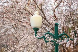 До +29° и ливни: погода в столице резко сменится на выходных